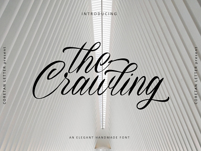 The Crawling Font branding crawling design handwritten illustration logo logotype script typeface typography ui