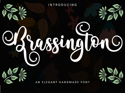 Brassington Font branding design handwritten illustration logo logotype script typeface typography ui