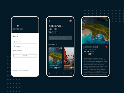 Travel App adobexd app design best practices dark ui home minimal mobile ui sign in travel travel app ui ui trends ux ux design