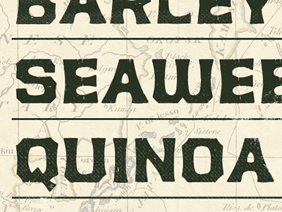 New Type: Excavate excavate font lettering typeface vintage