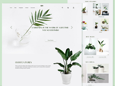 Ornamental plant web template plant shop web template plant store plant website