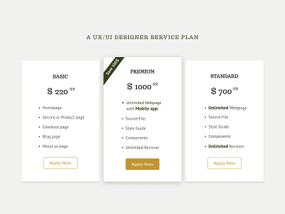 UX/UI Designer Service Plan UI design template price list service plan ui design ui design template web design