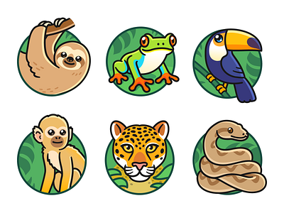 Cute Monkey Designs Themes Templates And Downloadable Graphic Elements On Dribbble