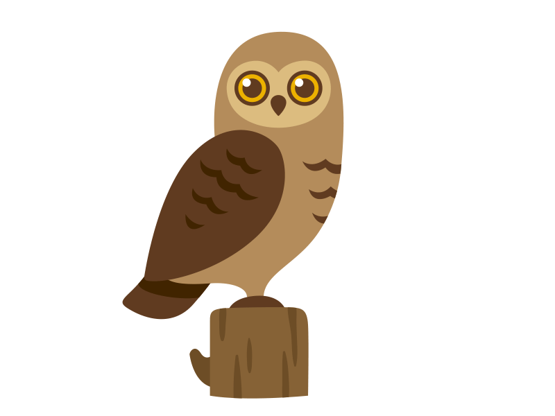 Owl head spin animation bird cartoon flat head motion owl spin vector