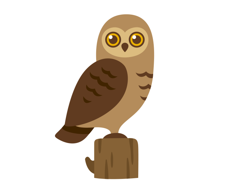 owl by Marion | Dribbble