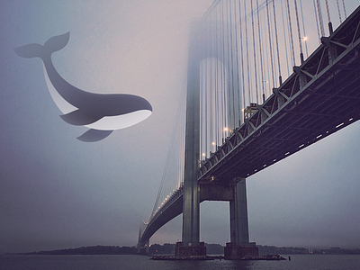 Whale bridge fog orca vector whale