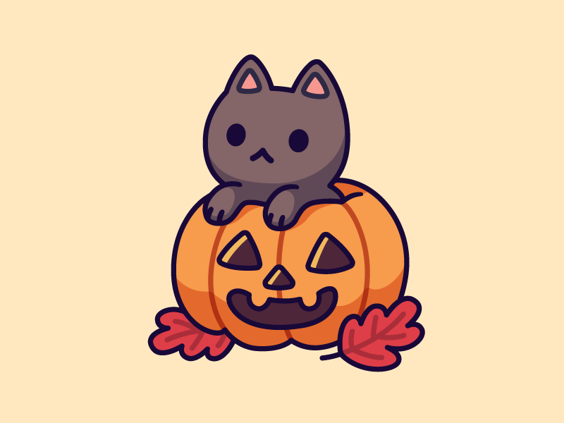 kitten in pumpkin