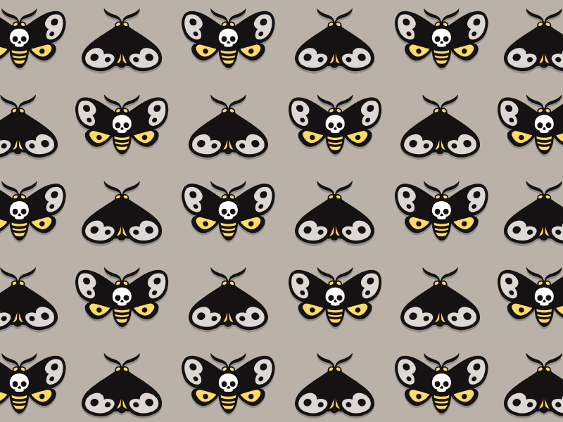 Death head moth pattern animation butterfly cartoon death head hawkmoth illustration insect moth pattern skull vector