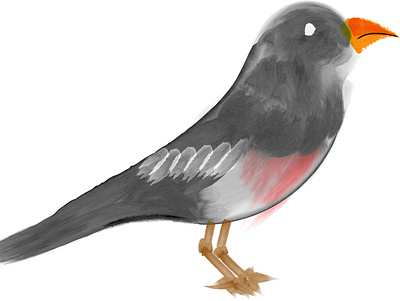 watercolor illustration of bird birdillustration digitalpainting illustration painting watercolor watercolorillustration