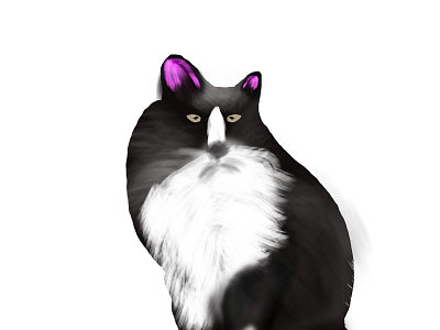 watercolor cat illustration digitalpainting graphic design illustration vector watercolor