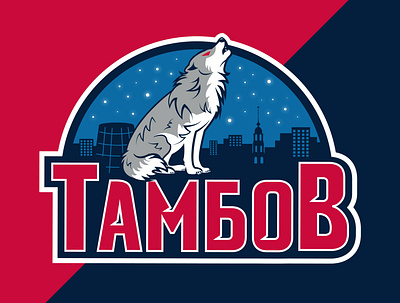 Rebranding FC Tambov branding design football football club football logo logo sports design sports logo