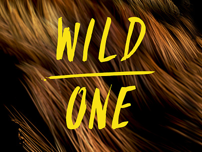 Wild one c4d cinema 4d copy creative design fur graphic painting rough shadow text typography