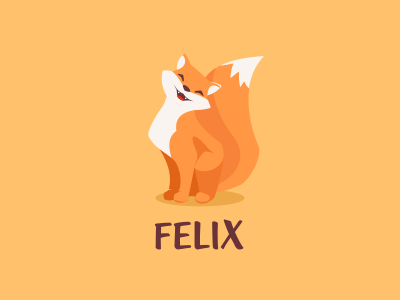 Felix animal character cute design fox foxy kids set t shirt tail tshirt