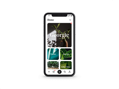 Watering Time animation app clean cleaning minimal modern motion nature plants ux uxdesign uxui xd