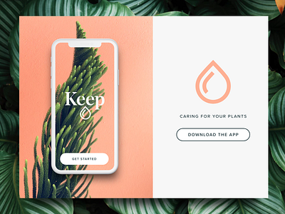 Keep App app brand branding clean design identity logo modern nature plant plants ui ux