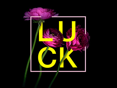 Feels and flowers: Luck feel flower letter luck