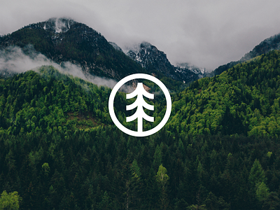 The Tree Project branding design logo visual identity