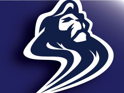 Lion logo league lion sports