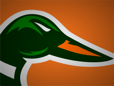 Ducks animal ducks logo sports