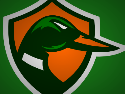 Ducks anaheim ducks hockey logo shield vector