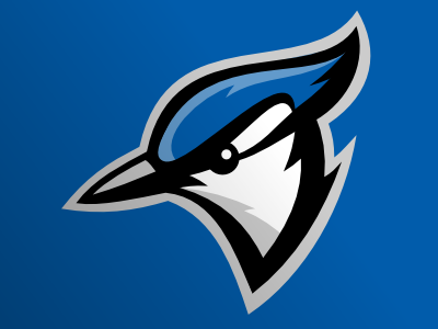 Blue Jays rebound blue jay logo sport vector