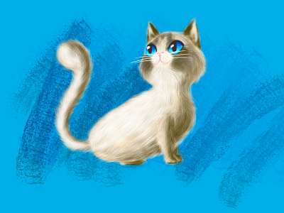 Cat Illustration illustration