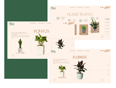 Plants company design designs illustration landingpage logo photo typography ui ui design uidesign ux uxui