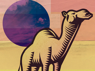Camel camel hatch illustrator orange purple sun