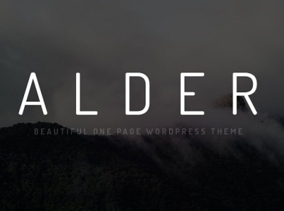 Alder - Onepage WordPress Theme app art branding design graphic design illustration illustrator minimal ui web website