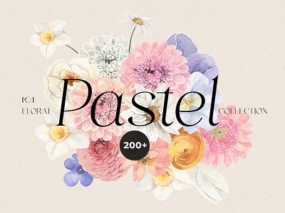 PASTEL spring summer flowers app branding design graphic design illustration illustrator minimal ui ux web website