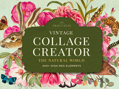Vintage Nature Collage Creator 3d animation app branding design graphic design illustration illustrator logo motion graphics ui web website