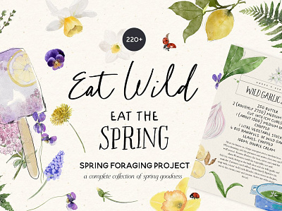 Eat Wild - Spring Foraging Project 3d animation app branding design graphic design illustration illustrator logo motion graphics ui web website