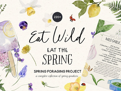 Eat Wild - Spring Foraging Project