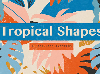 Tropical shapes 3d animation app branding design graphic design illustration illustrator logo motion graphics ui web website