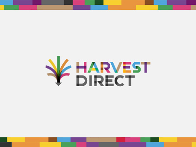 Harvest Direct branding cannabis logo logotype typography