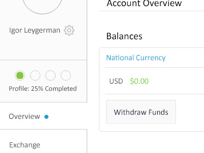 Account Overview WF app design ui ux wf wireframes