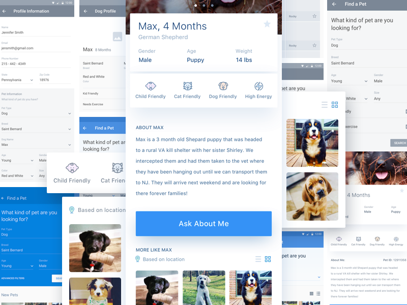 Pet Finder App uiux design ux ui iphone 10 iphone x application pet mobile app ios