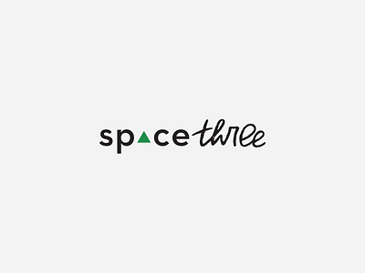 spacethree logo brush script fitness handlettering logo design logotype space space three triangle