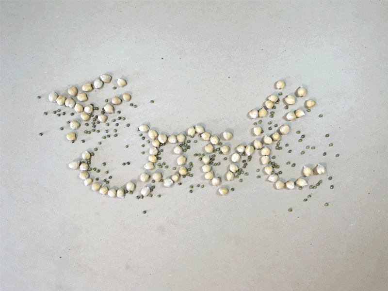 cool beans beans cool dimensional type food lettering food typography garbanzo lettering mung beans