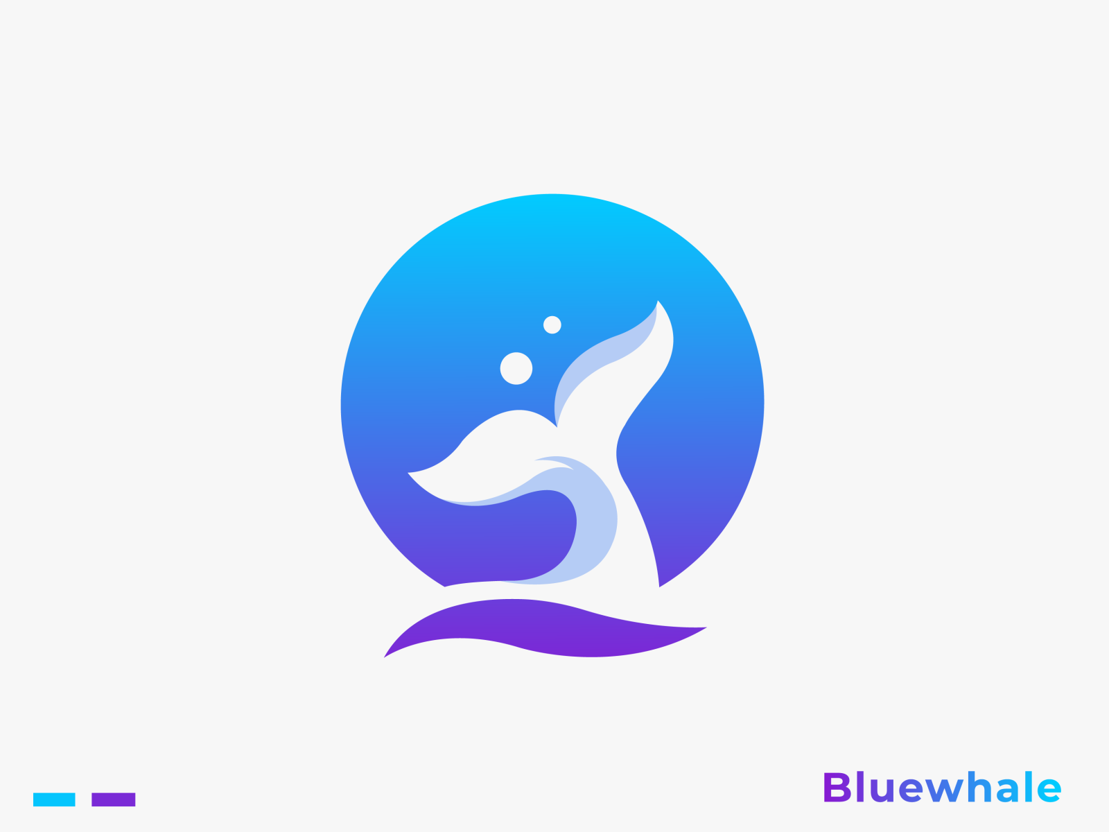 Blue Whale Logo Design By Enzamin Khan On Dribbble