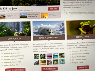 Website Concept concept ecotourism travel website