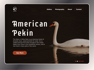 American Peking (HERO) art design clean creative hero section landing page ui ui design ux web webdesign website