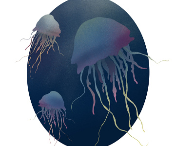 Jellyfish Illustration branding graphic design illustration logo web website