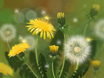 Dandelions иллюстрация лето одуванчики поле цветы