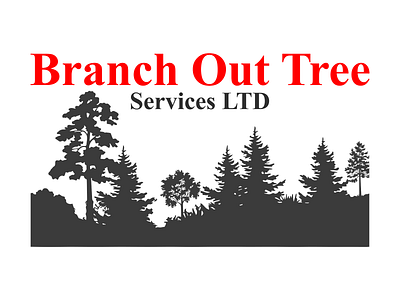 Branch Out Tree Services LTD (Flat Design) branding design illustration logo vector