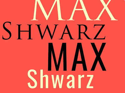 Max.Shwarz kyiv persona typography