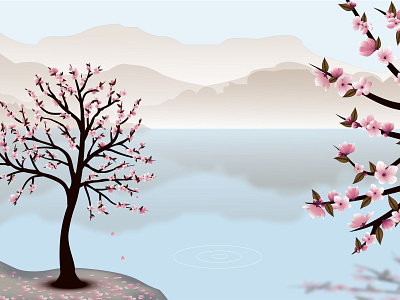 HANAMI cherry blossom design graphic design illustration spring