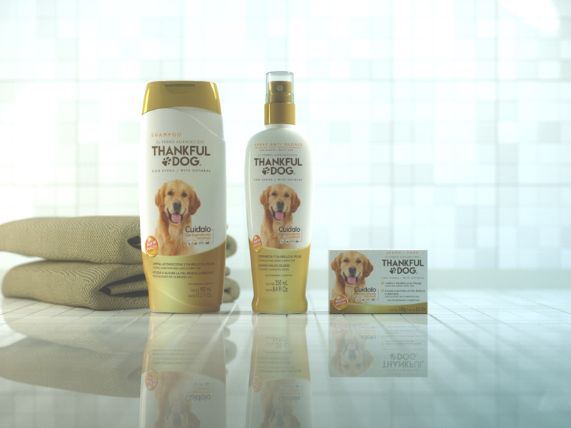 Package modeling, texture and render ilumination render texturing 3d modeling package