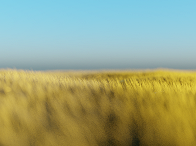 Country roads. 3d art 80s ambient b3d blender3d videogames