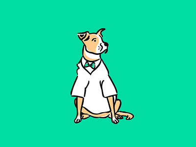Paw Pro brand branding corporate identity design doctor dog identity logo logotype marketing mascot vector